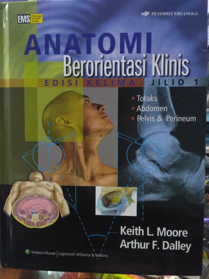 Anatomi berorientasi klinis jilid 1 (toraks, abdomen, pelvis & perineum)